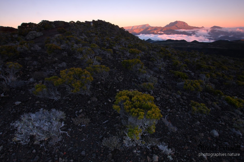 Soirée sur le Piton des Neiges 